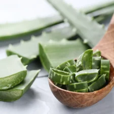Aloe vera