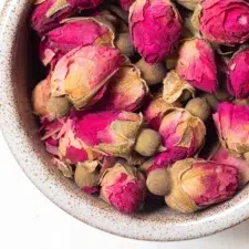 Boutons de rose