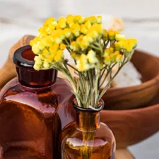 fleur d'immortelle