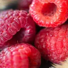 framboise