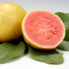 goyave