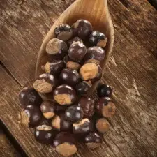 Guarana