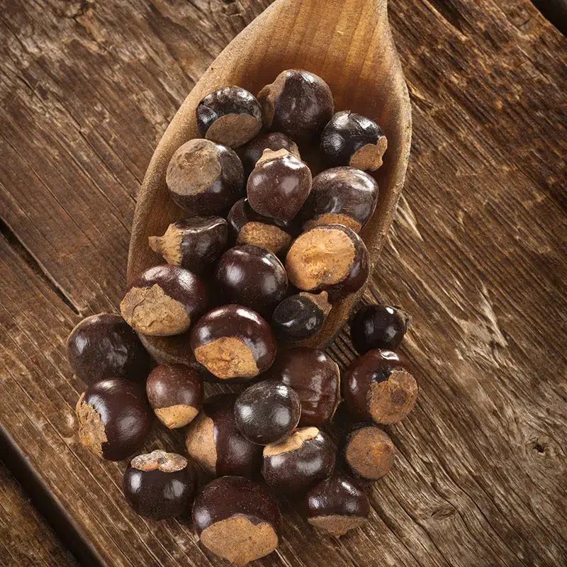 Guarana