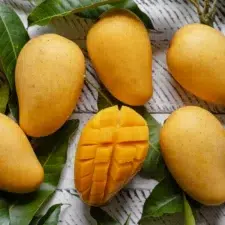 mangue