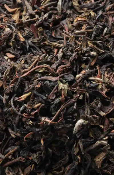 darjeeling