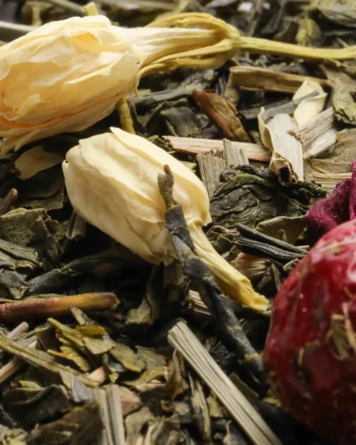 jardin des merveilles