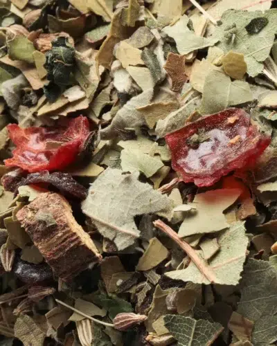 jolies gambettes maté vert boljoy