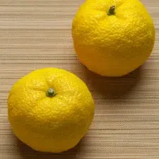 yuzu