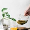 Les bienfaits de nos thés verts