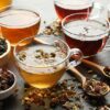 Thé vert, rooibos, maté : lequel choisir selon vos besoins ?